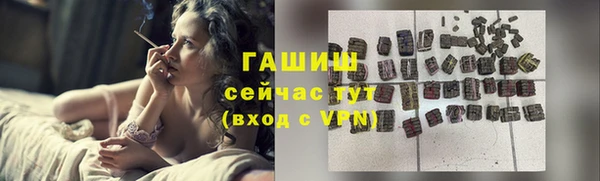 прущие грибы Горно-Алтайск