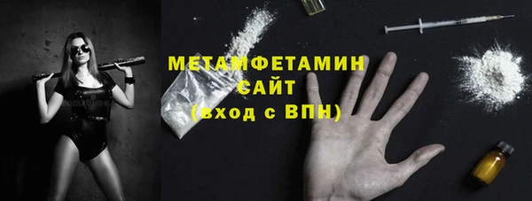 прущие грибы Горно-Алтайск