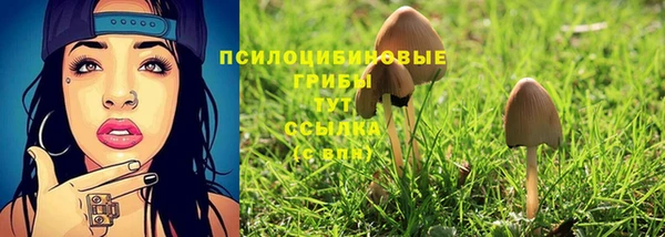mdma Горнозаводск