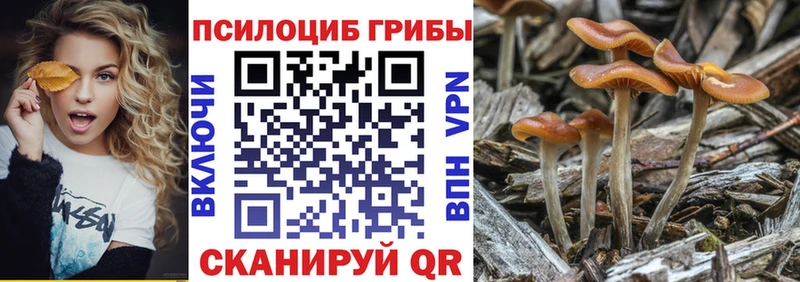 Галлюциногенные грибы GOLDEN TEACHER  Купить закладки  Судогда 